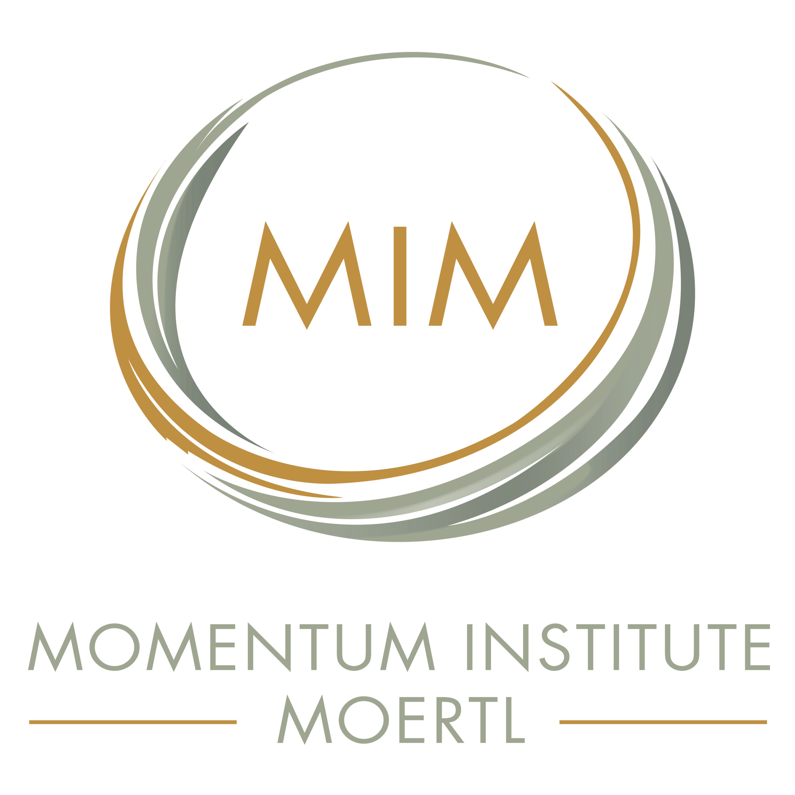 MIM – Momentum Institute Moertl